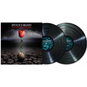 Spock´s Beard - The Archaeoptimist (2025) (2x Vinyl)