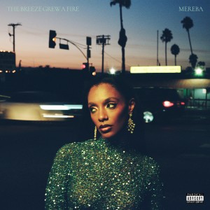 Mereba - The Breeze Grew A Fire (2025) (CD)