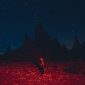 Phoebe Bridgers - Punisher (2020) (CD)