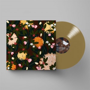 Bright Eyes - Noise Floor Rarities: 1998 - 2005 (Vinyl)