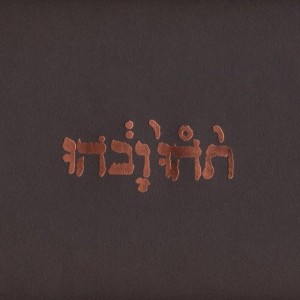 Godspeed You! Black Emperor - Slow Riot For A New Zero Kanada (Vinyl)