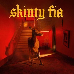 FONTAINES D.C.-SKINTY FIA (2022) (CD)