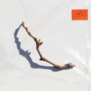 PJ HARVEY-I INSIDE THE OLD YEAR DYING (2023) (CD)