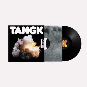Idles - Tangk (2024) (Vinyl)