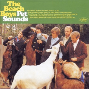 Beach Boys - Pet Sounds (Mono + Stereo) (CD)