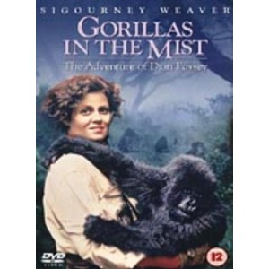 GORILLAS IN THE MIST