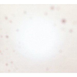 Yo La Tengo - There´s A Riot Going On