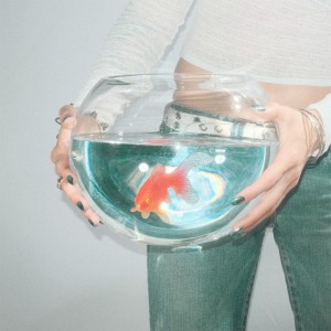 Fish Narc - Frog Song (2025) (Vinyl)