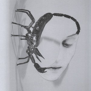 Tortoise - Touch (2025) (CD)