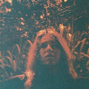 Turnover - Peripheral Vision (2015) (CD)