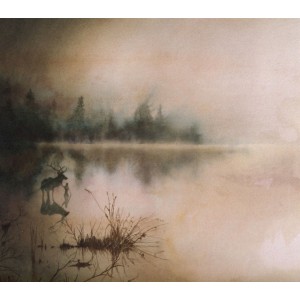 Solstafir - Berdreyminn (2017) (CD)
