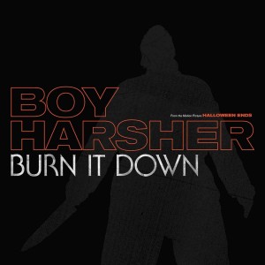 BOY HARSHER-BURN IT DOWN (VINYL)