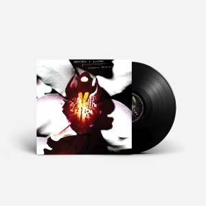 Chrystabell & David Lynch - Cellophane Memories (2024) (Vinyl)
