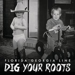 Florida Georgia Line - Dig Your Roots (2016) (CD)