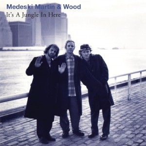 MEDESKI MARTIN & WOOD-IT´S A JUNGLE IN HERE (VINYL)