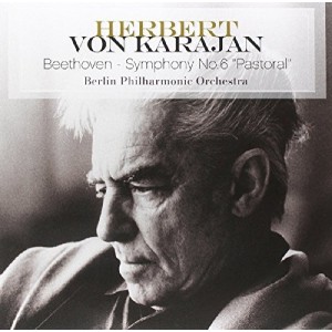 Beethoven: Symphony No.6 Pastoral (Vinyl)