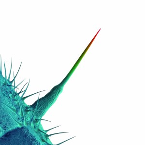 Peter Gabriel - And I´ll Scratch Yours (2013) (CD)