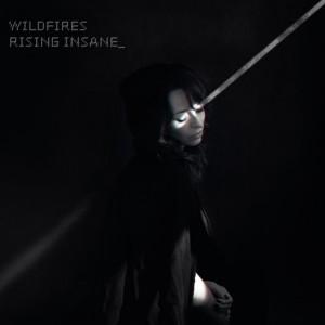 Rising Insane - Wildfires (2024) (CD)