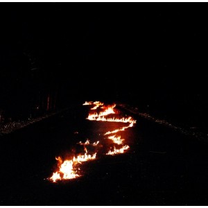 Bob Moses - Battle Lines (Vinyl)