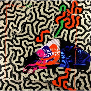 Animal Collective - Tangerine Reef (2x Coloured Vinyl)