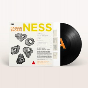 Hayden Thorpe - Ness (2024) (Vinyl)