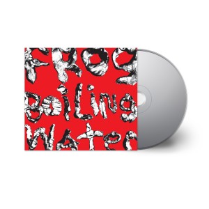 Diiv - Frog In Boiling Water (2024) (CD)