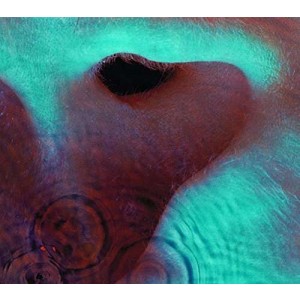 Pink Floyd - Meddle (1971) (CD)