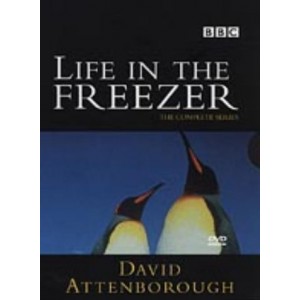 Life In The Freezer