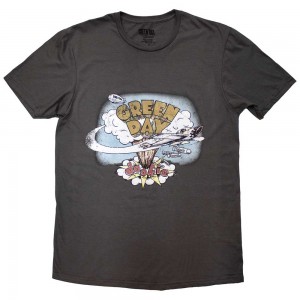 Green Day Unisex T-Shirt: Dookie Vintage (Grey) (Large)