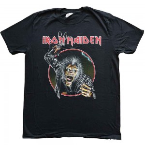 Iron Maiden Unisex T-Shirt: Eddie Hook (Black) (X-Large)