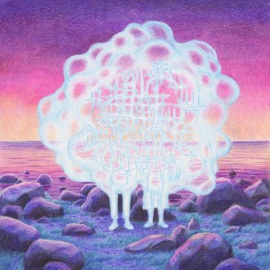 TamTam - Slumber Picture (2023) (Vinüül)